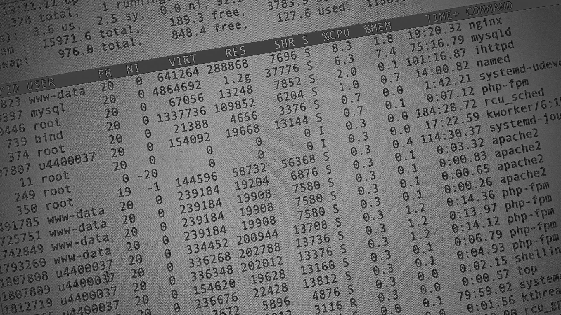 Настройка сервера в Сальске