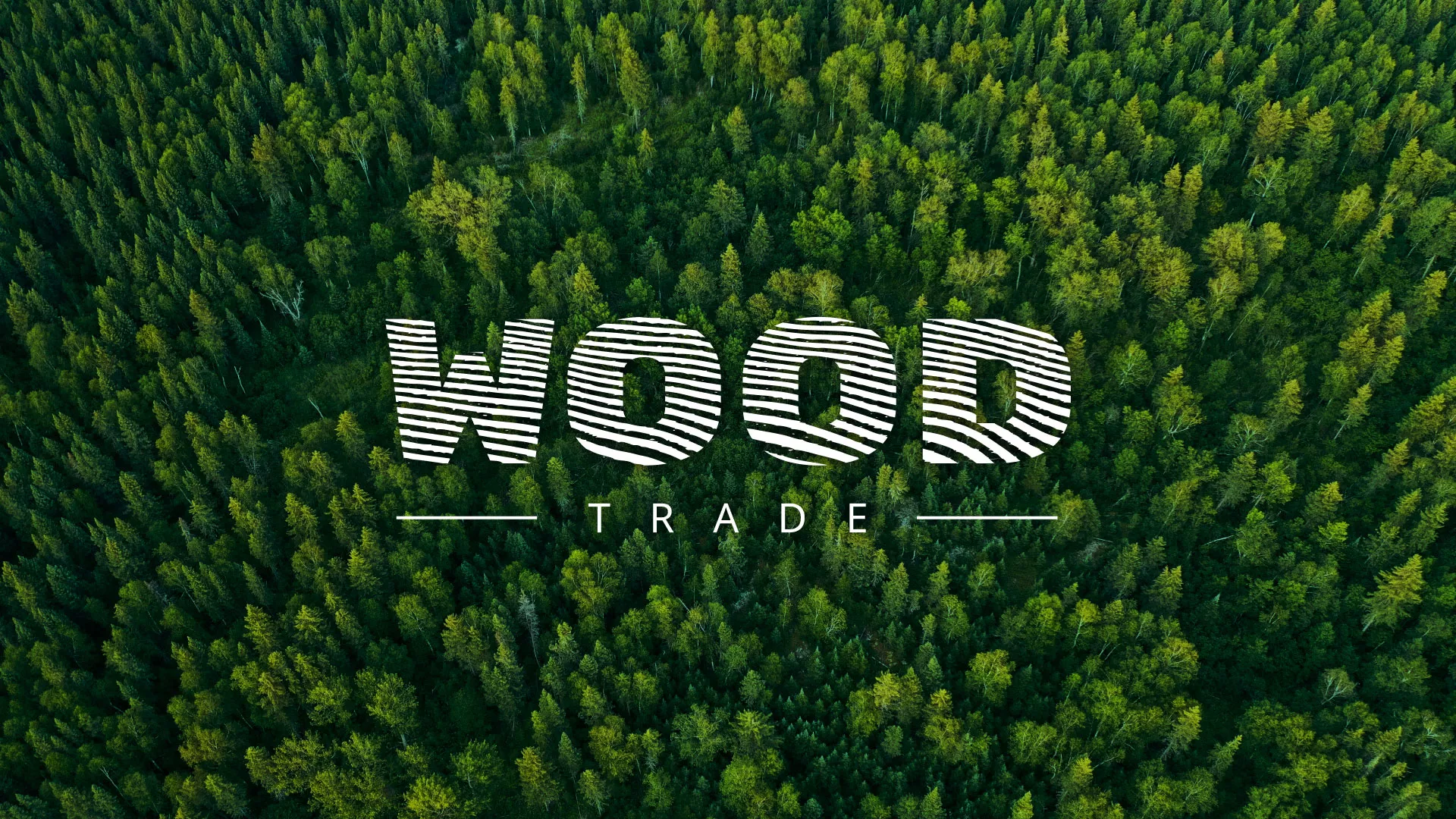 Разработка интернет-магазина компании «Wood Trade» в Сальске