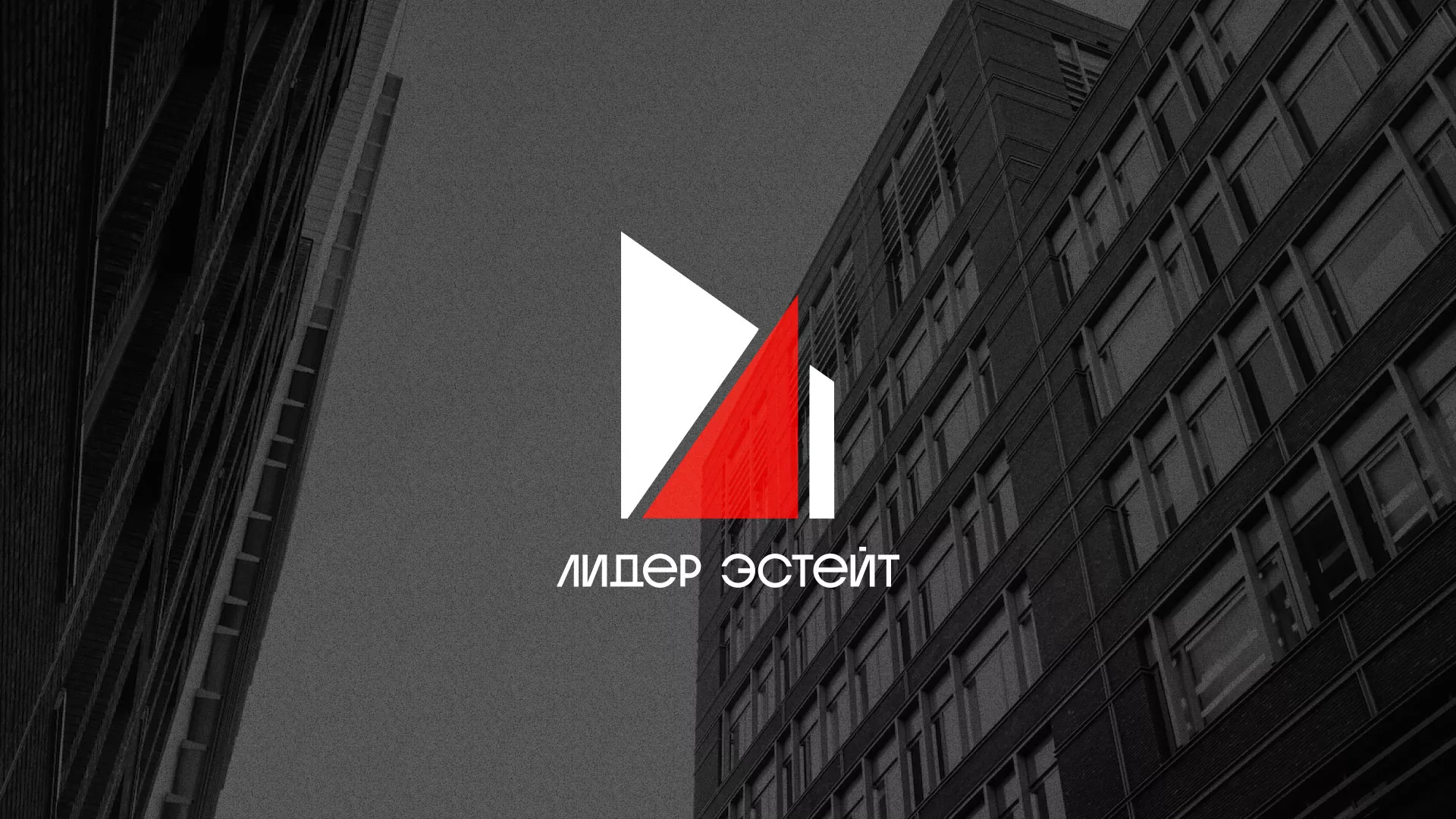 Сделали логотип для агентства недвижимости «Лидер Эстейт» в Сальске